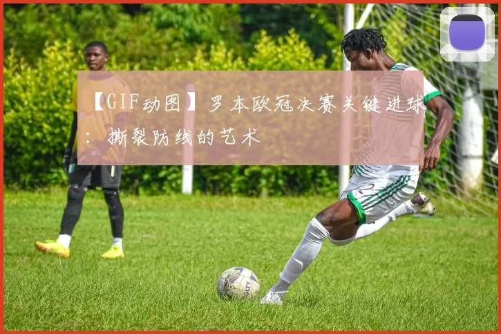 【GIF动图】罗本欧冠决赛关键进球：撕裂防线的艺术