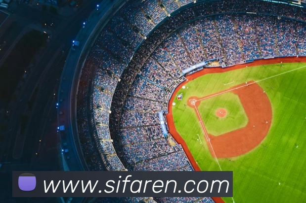 emc易倍官网发展历程